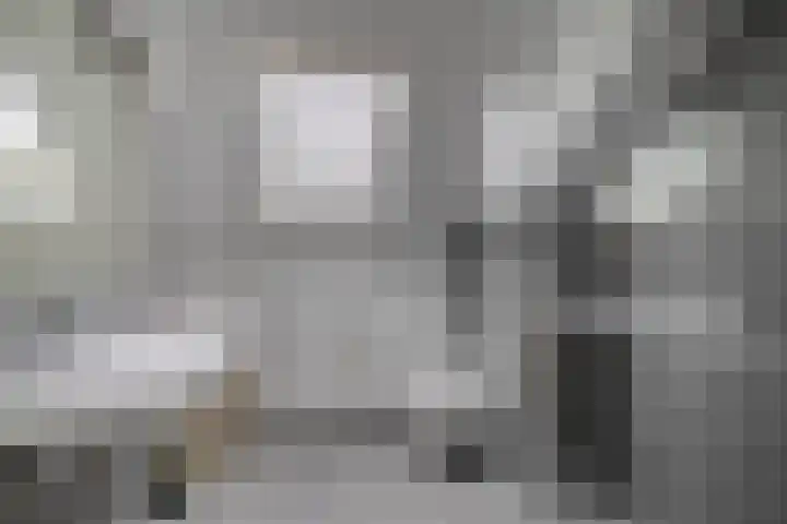 Jan de Geusrede 32 Capelle aan den IJssel thumbnail 30