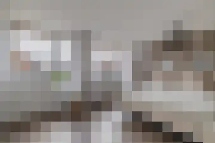 Jan de Geusrede 32 Capelle aan den IJssel thumbnail 33