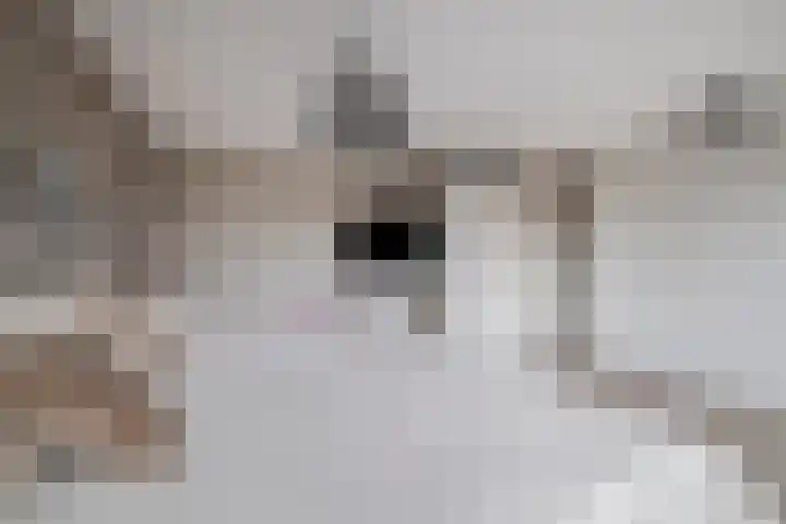 Jan de Geusrede 32 Capelle aan den IJssel thumbnail 34