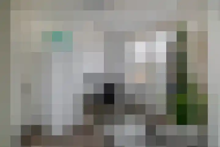 Jan de Geusrede 32 Capelle aan den IJssel thumbnail 35