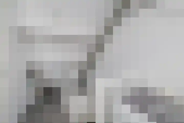 Jan de Geusrede 32 Capelle aan den IJssel thumbnail 36