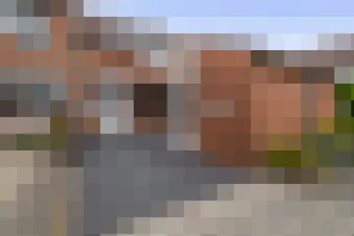 Jan de Geusrede 32 Capelle aan den IJssel thumbnail 8