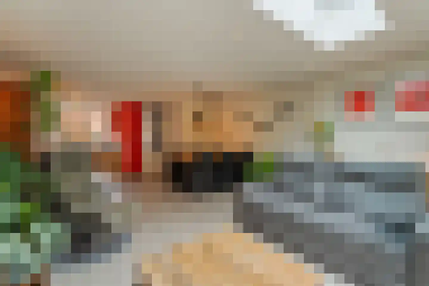 Jan de Geusrede 4 Capelle aan den IJssel thumbnail 10