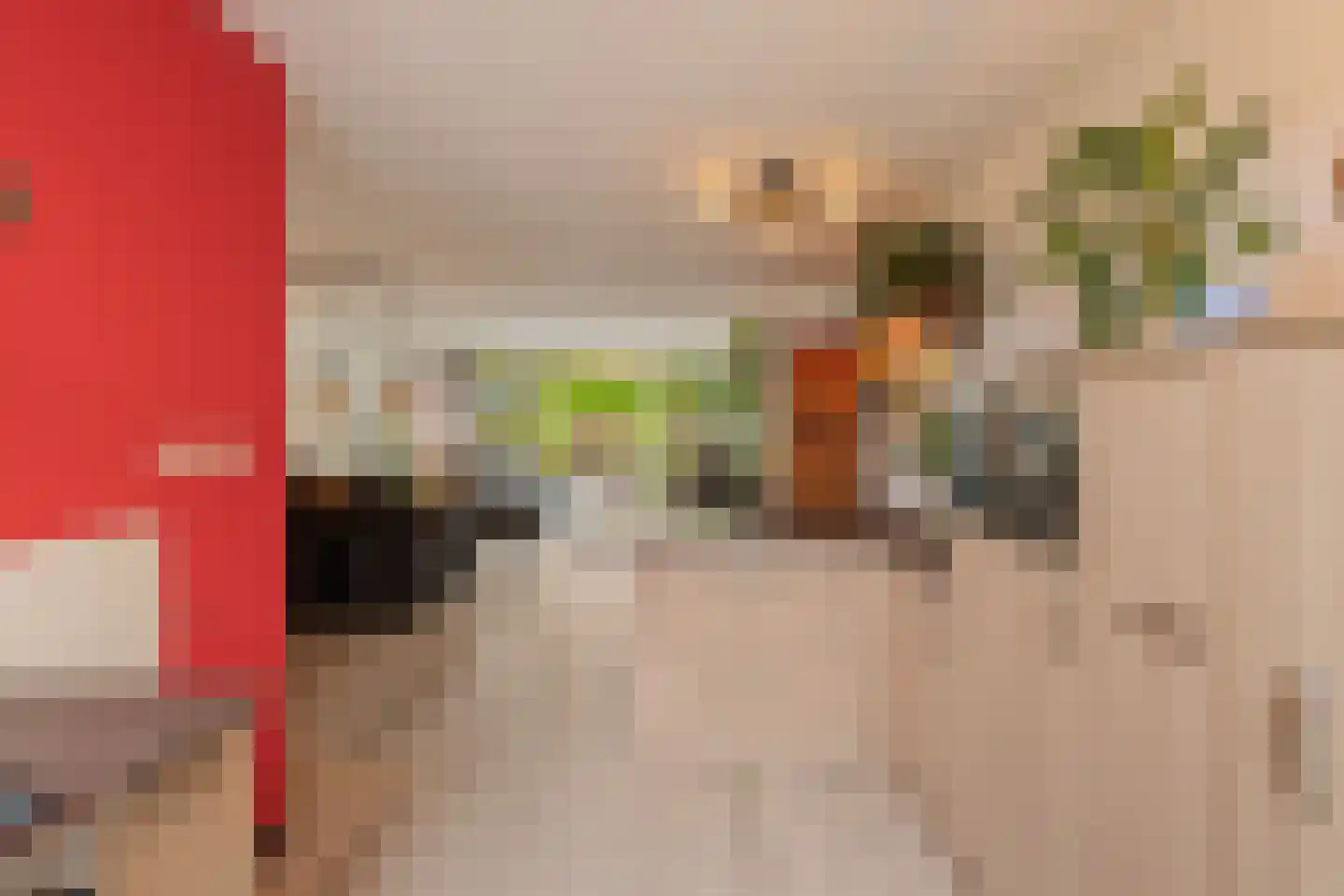 Jan de Geusrede 4 Capelle aan den IJssel thumbnail 13