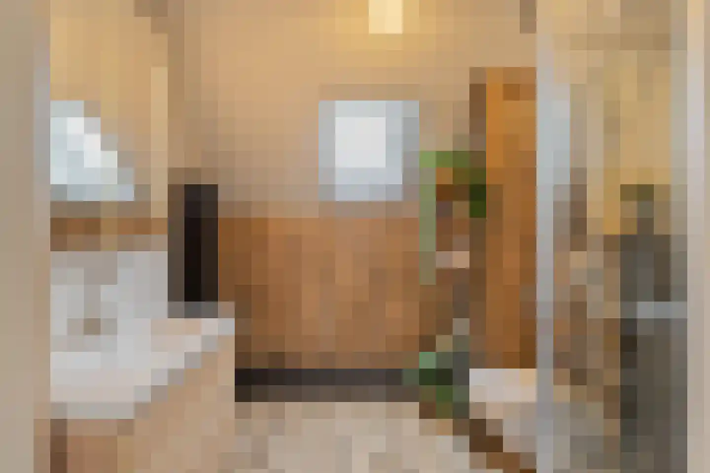 Jan de Geusrede 4 Capelle aan den IJssel thumbnail 15