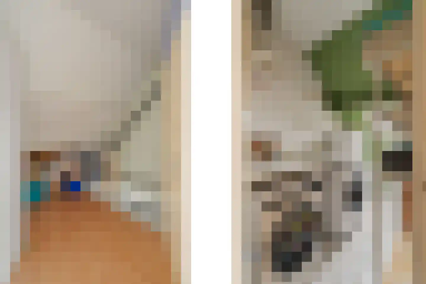 Jan de Geusrede 4 Capelle aan den IJssel thumbnail 27