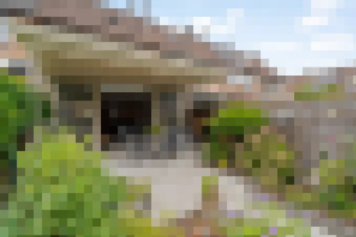 Jan de Geusrede 4 Capelle aan den IJssel thumbnail 30
