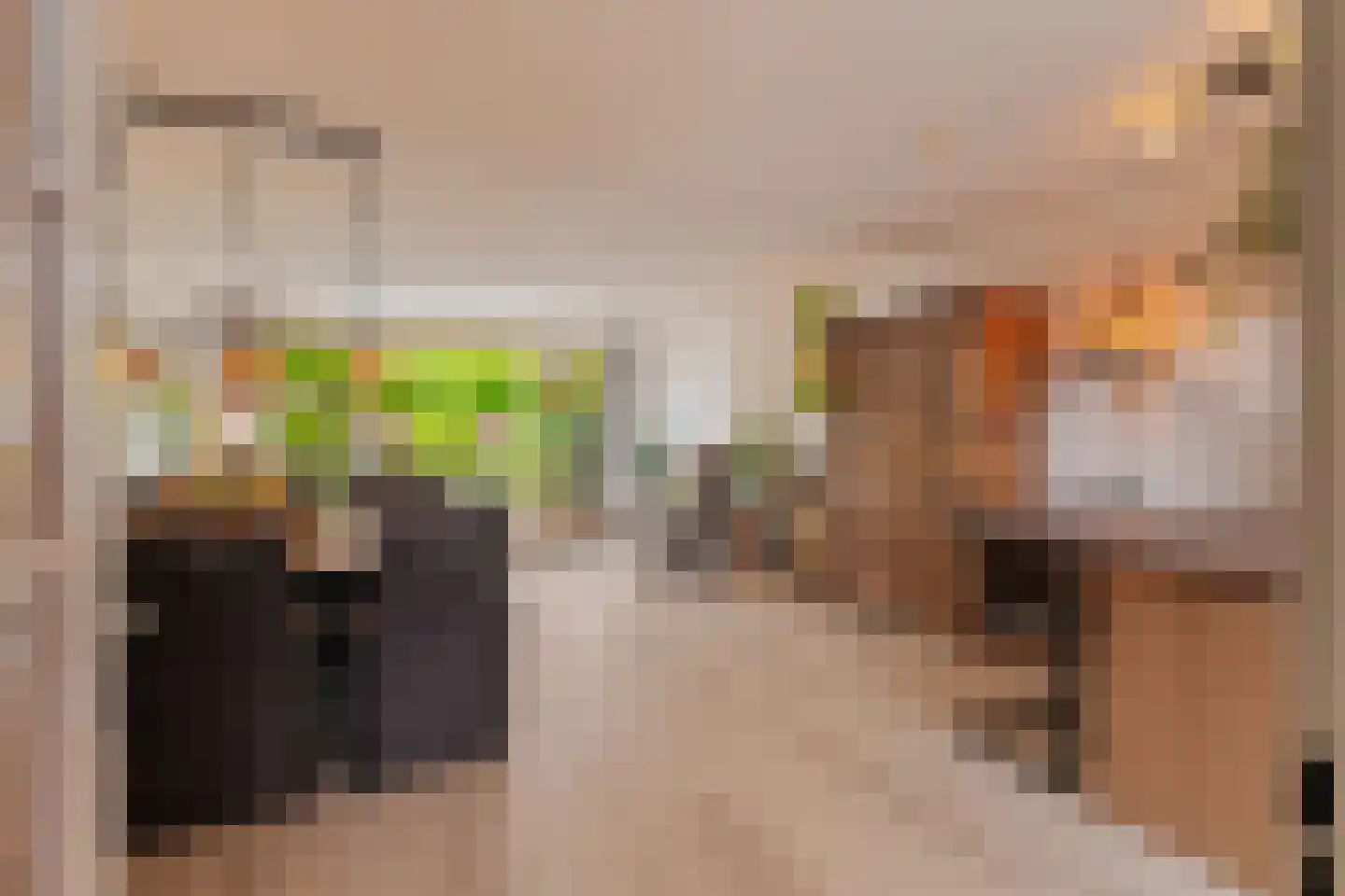 Jan de Geusrede 4 Capelle aan den IJssel thumbnail 6