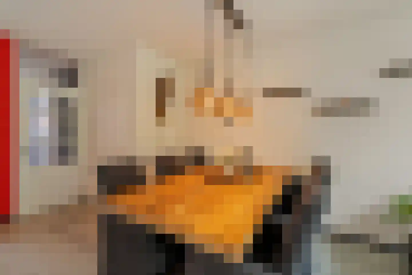 Jan de Geusrede 4 Capelle aan den IJssel thumbnail 7