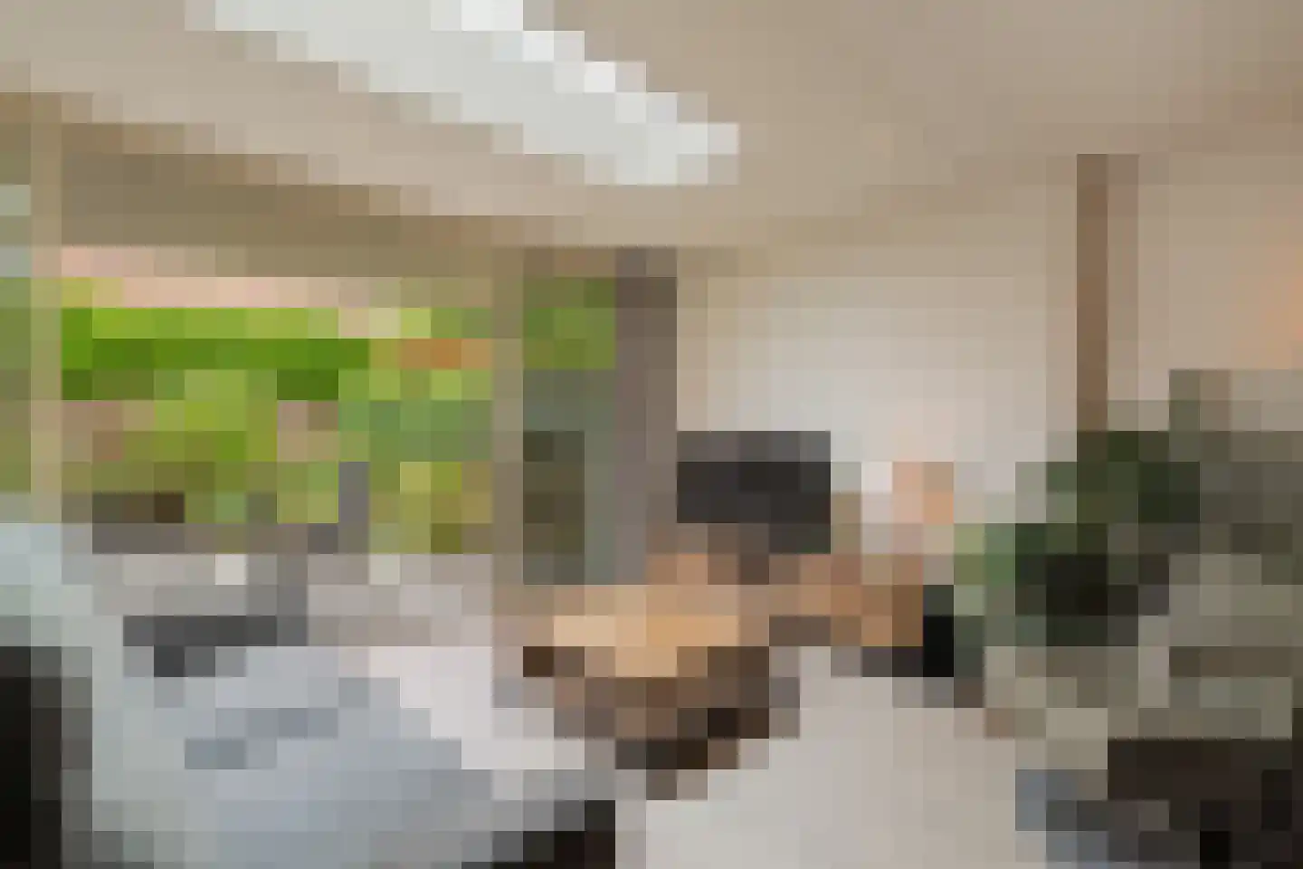 Jan de Geusrede 4 Capelle aan den IJssel thumbnail 9