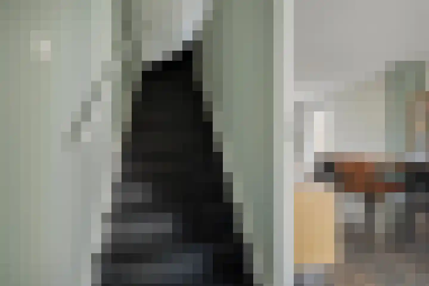 Jan de Heemstraat 2 Alkmaar thumbnail 18