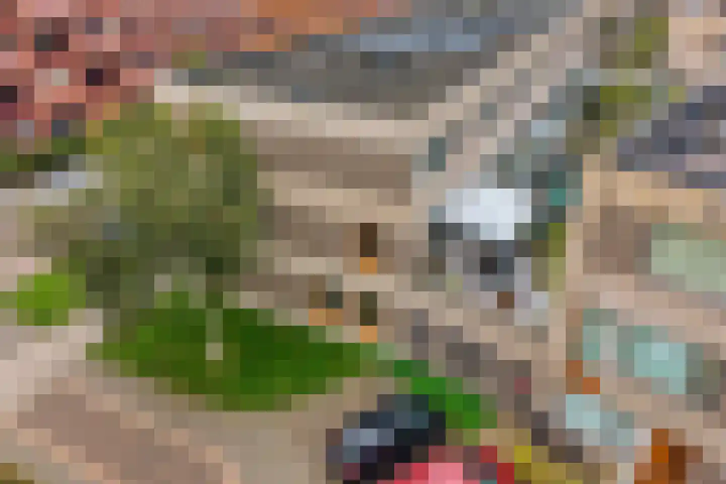 Jan de Heemstraat 2 Alkmaar thumbnail 32