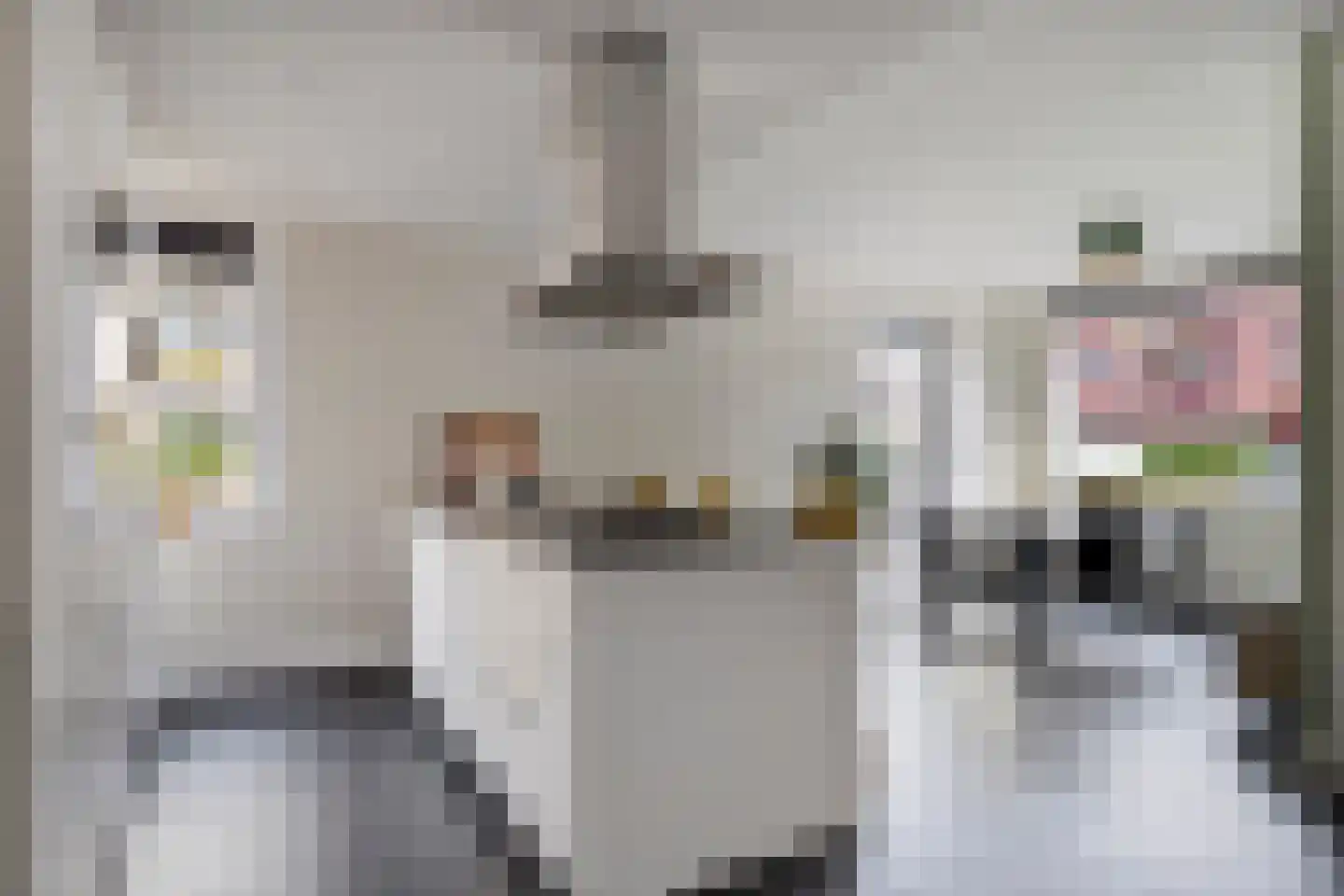Jan de Heemstraat 2 Alkmaar thumbnail 4