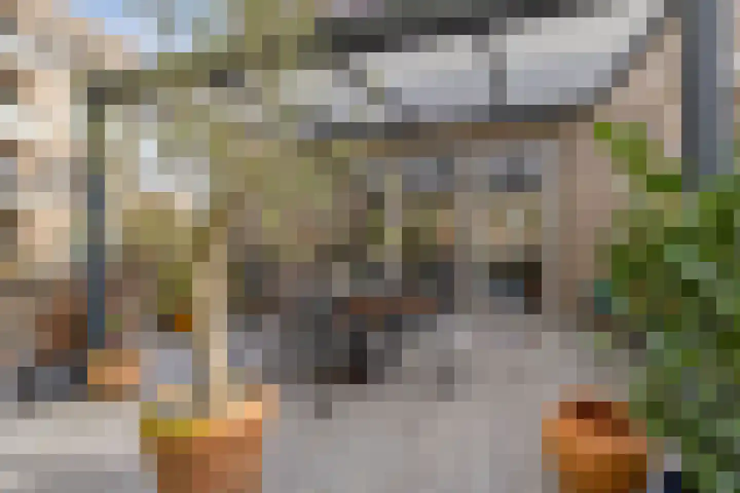 Jan de Heemstraat 2 Alkmaar thumbnail 5