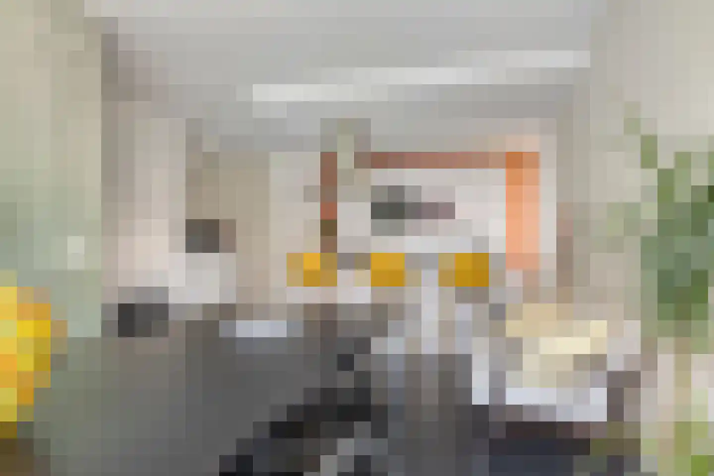 Jan de Heemstraat 2 Alkmaar thumbnail 8
