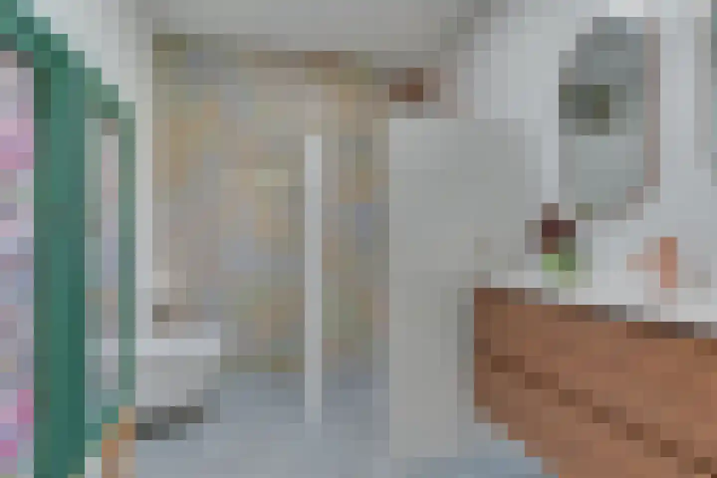Jan de Heemstraat 4 A Alkmaar thumbnail 34