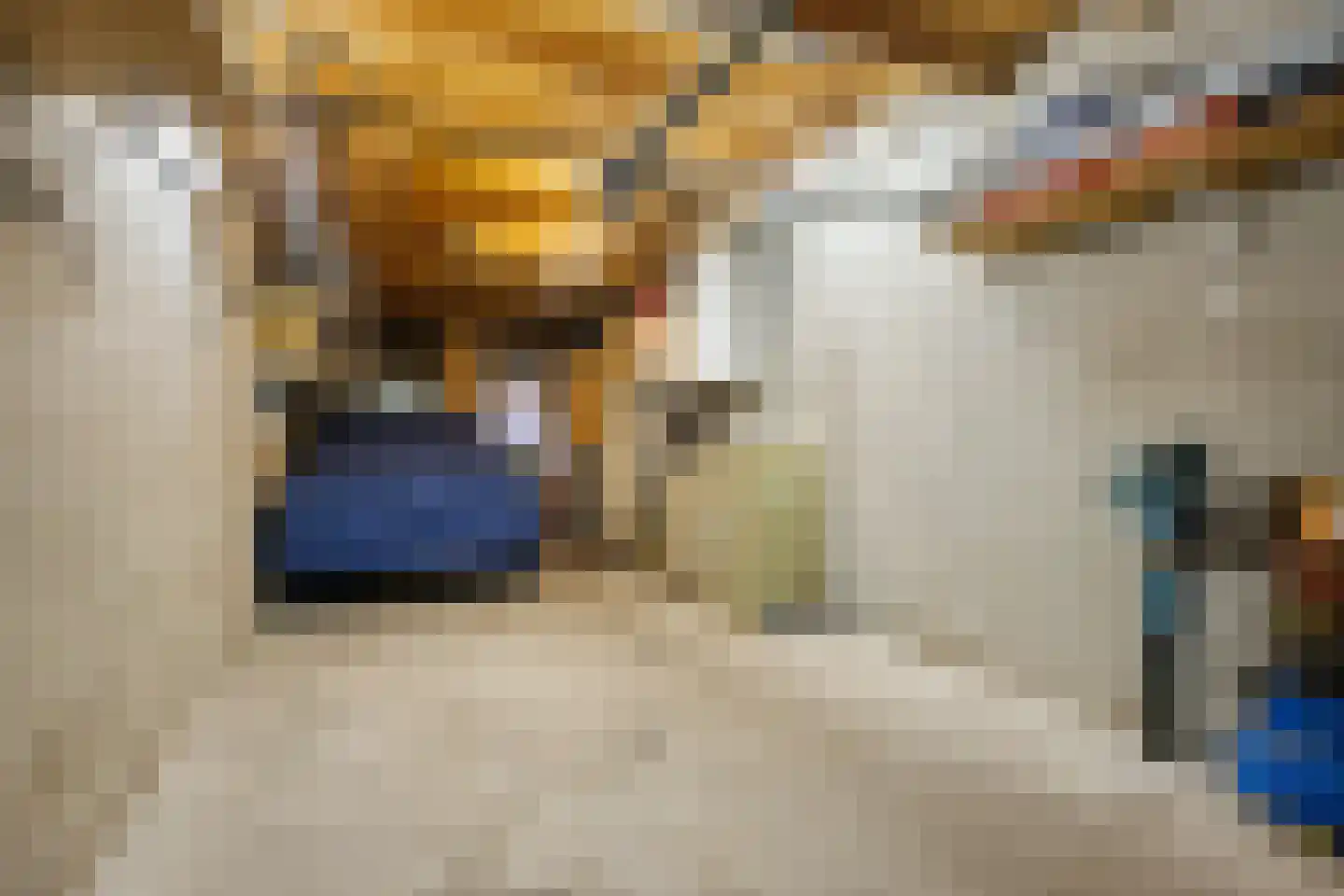 Jan de Jagerweg 32 Voorthuizen thumbnail 40