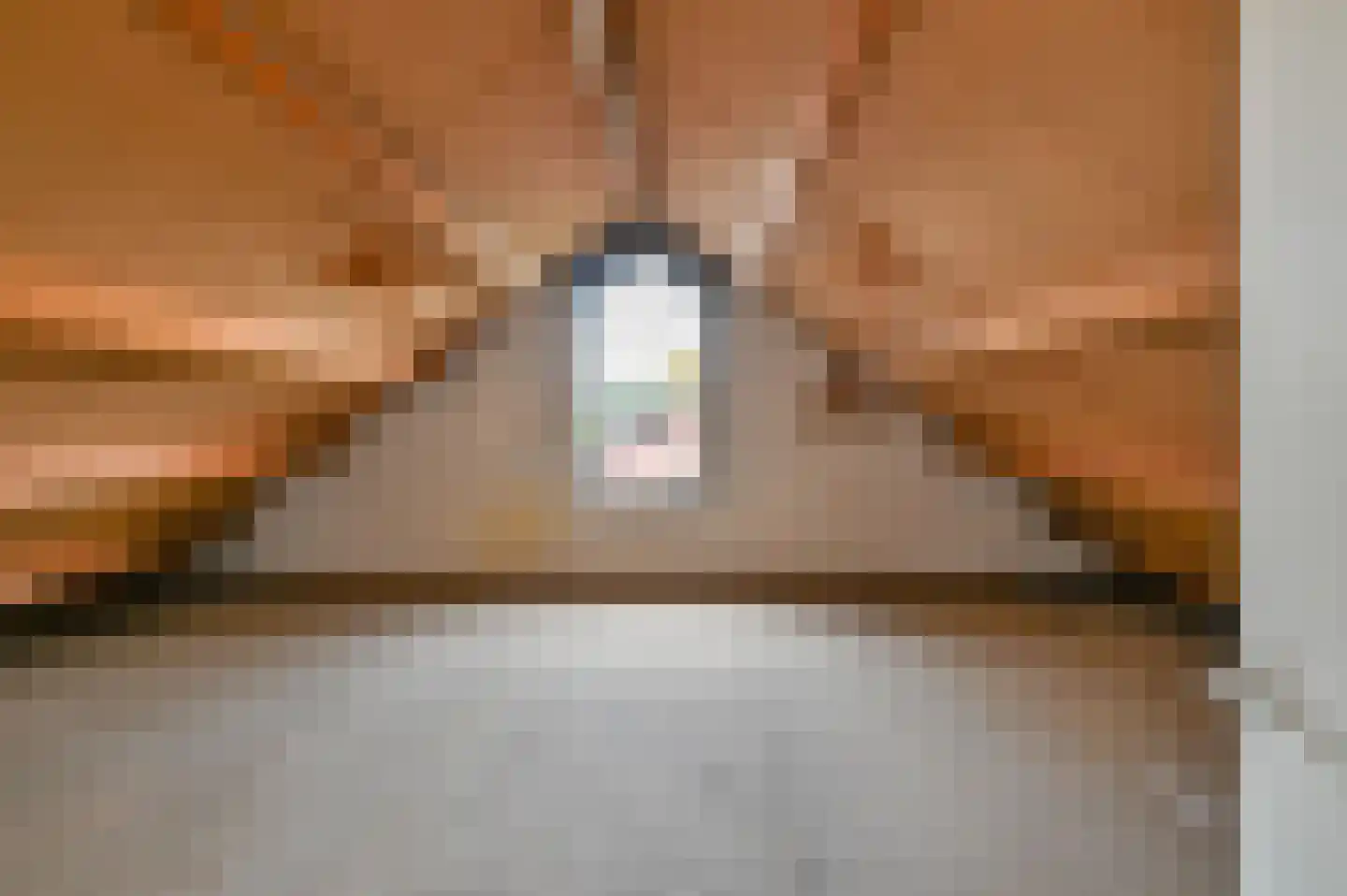 Jan de Jagerweg 48 Voorthuizen thumbnail 18