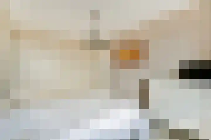 Jan de Jonghkade 18 Amsterdam thumbnail 12
