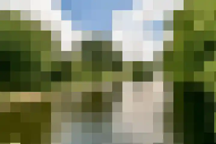 Jan de Jonghkade 18 Amsterdam thumbnail 19