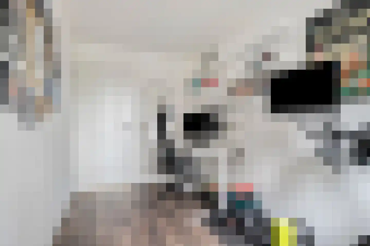 Jan de Jonghstraat 15 Amsterdam thumbnail 15
