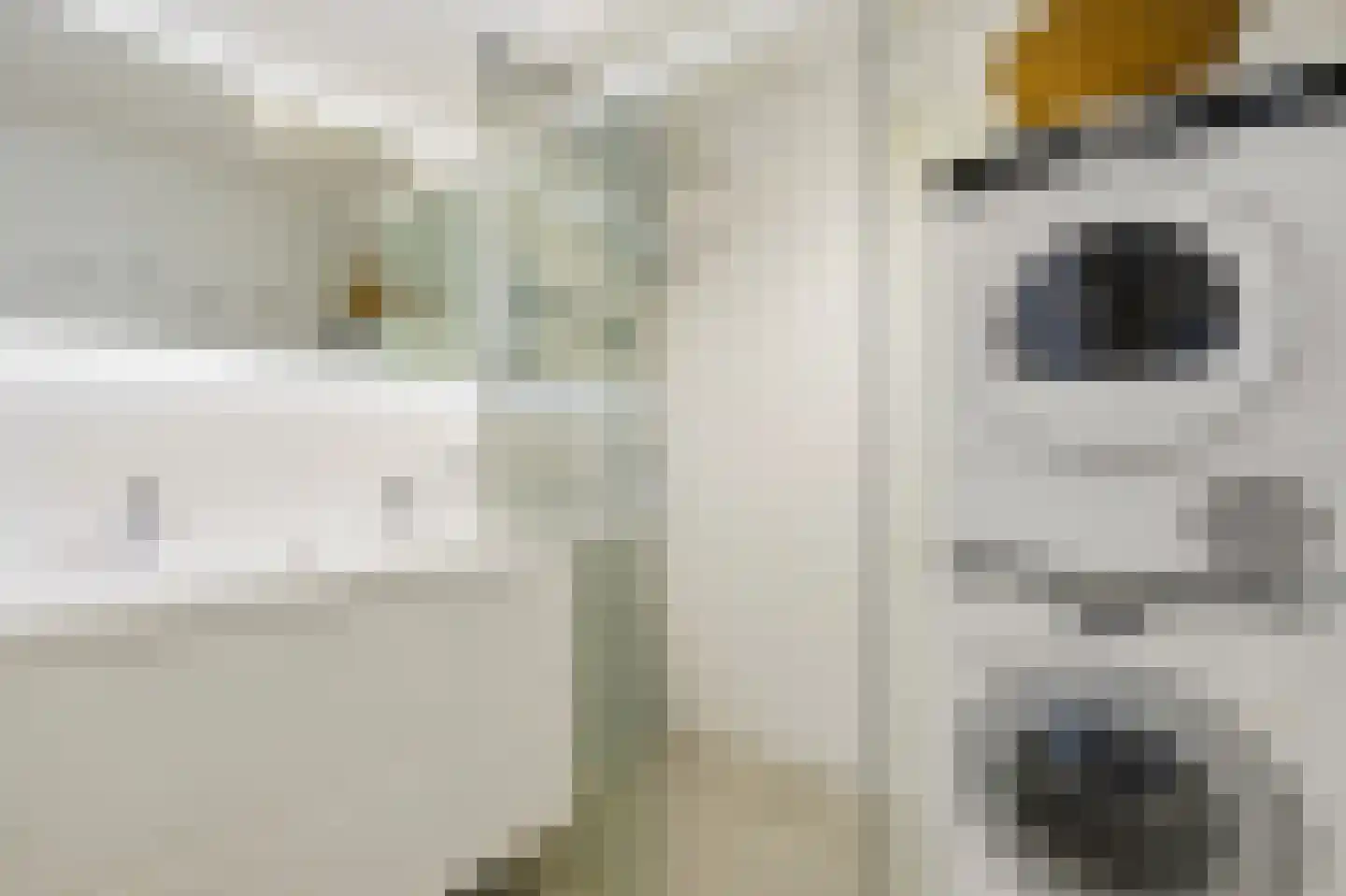 Jan de Jonghstraat 87 Amsterdam thumbnail 16