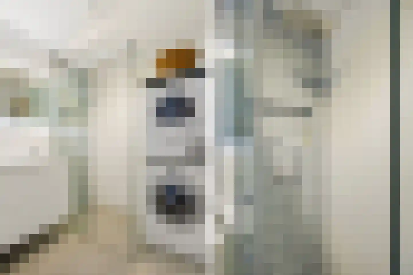 Jan de Jonghstraat 87 Amsterdam thumbnail 17