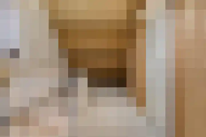 Jan de Kösterhof 2 Sint Anthonis thumbnail 15