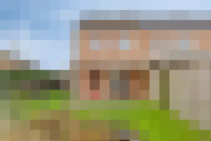 Jan de Kösterhof 2 Sint Anthonis thumbnail 17