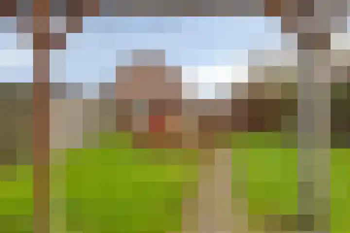 Jan de Kösterhof 2 Sint Anthonis thumbnail 19