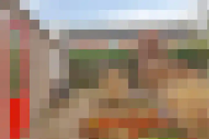 Jan de Kösterhof 2 Sint Anthonis thumbnail 20