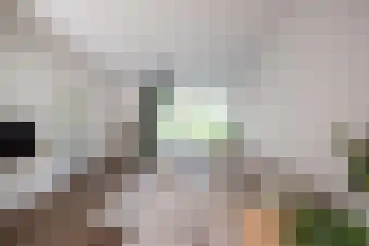 Jan de Mijterlaan 28 Haarlem thumbnail 10