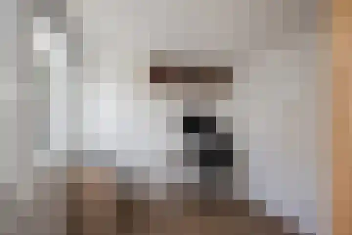 Jan de Mijterlaan 28 Haarlem thumbnail 22