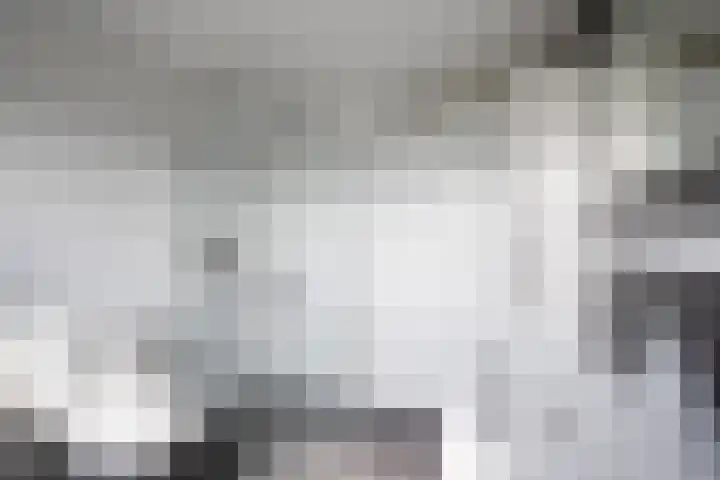 Jan de Mijterlaan 28 Haarlem thumbnail 33