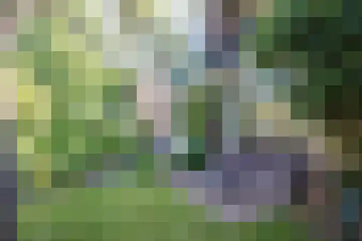 Jan de Mijterlaan 28 Haarlem thumbnail 37