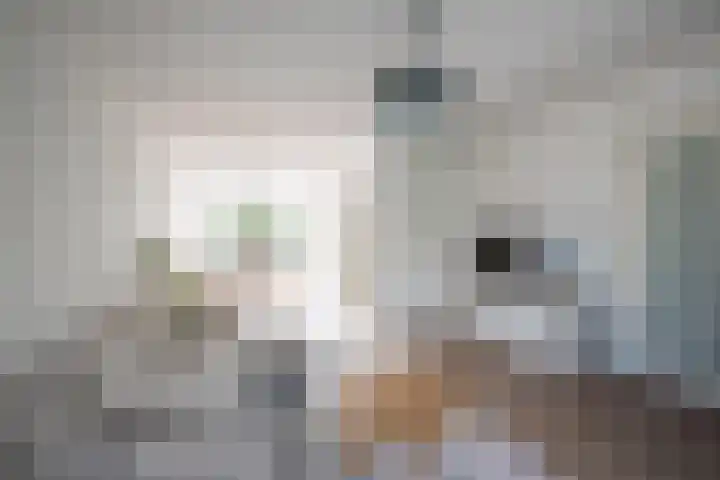 Jan de Mijterlaan 28 Haarlem thumbnail 9