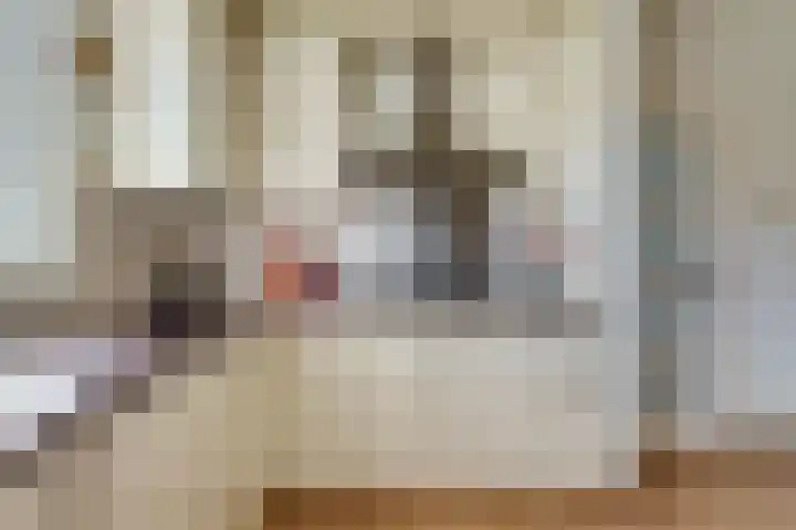Jan de Oudestraat 10 Eindhoven thumbnail 17