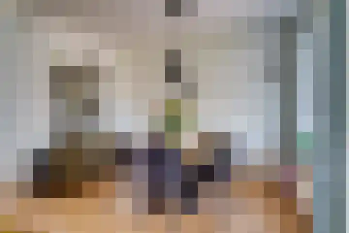 Jan de Oudestraat 10 Eindhoven thumbnail 23