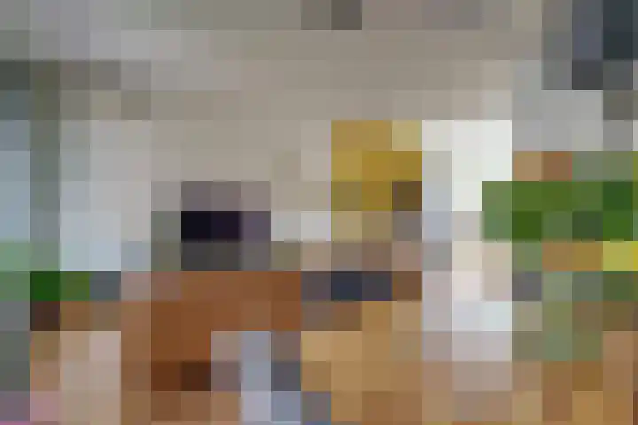 Jan de Oudestraat 10 Eindhoven thumbnail 24