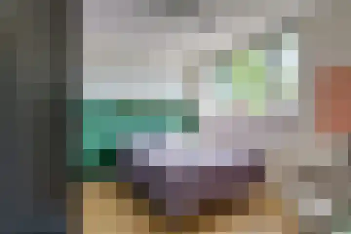 Jan de Oudestraat 10 Eindhoven thumbnail 27