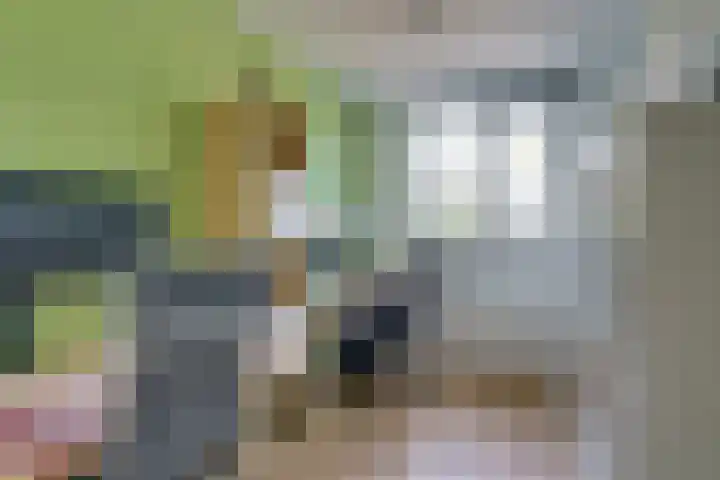 Jan de Oudestraat 10 Eindhoven thumbnail 33