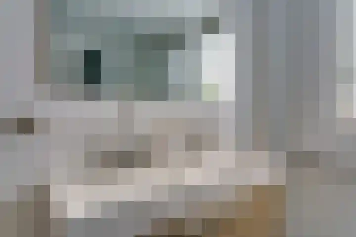 Jan de Oudestraat 10 Eindhoven thumbnail 36