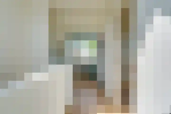 Jan de Oudestraat 10 Eindhoven thumbnail 38