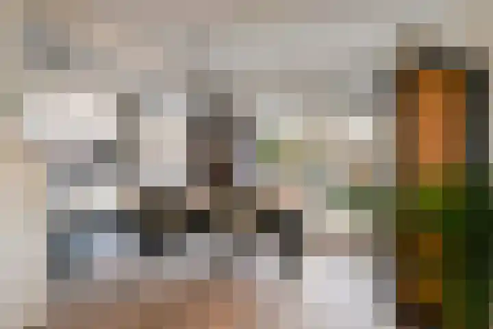Jan de Oudestraat 14 Eindhoven thumbnail 10