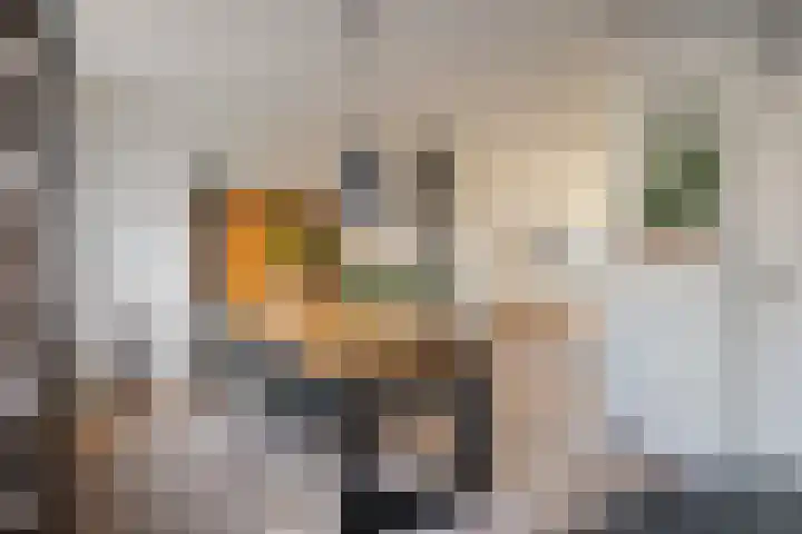 Jan de Oudestraat 14 Eindhoven thumbnail 11
