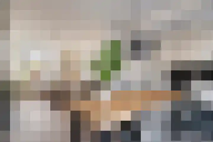 Jan de Oudestraat 14 Eindhoven thumbnail 12