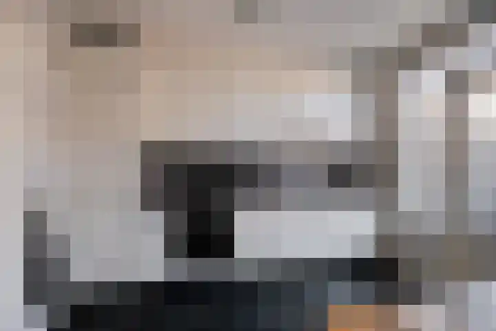 Jan de Oudestraat 14 Eindhoven thumbnail 13