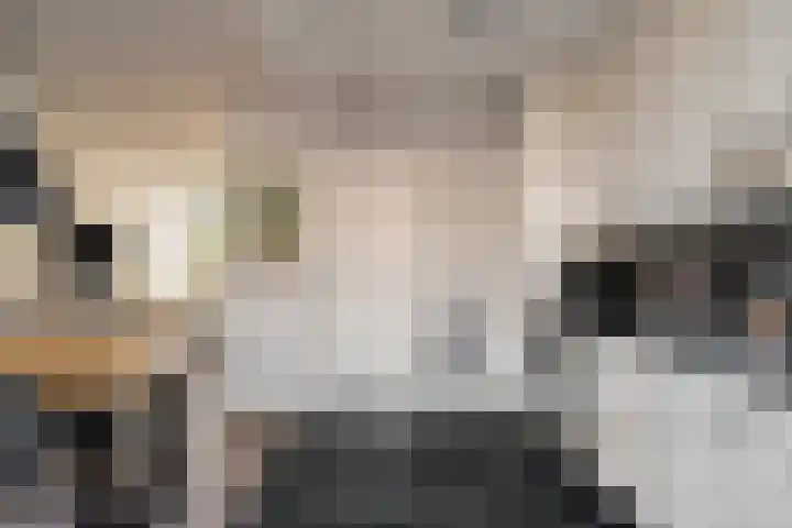 Jan de Oudestraat 14 Eindhoven thumbnail 15