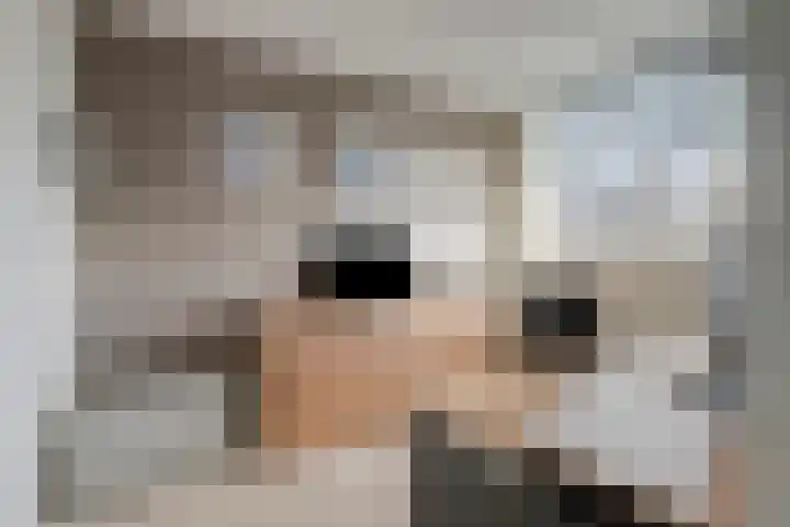 Jan de Oudestraat 14 Eindhoven thumbnail 22
