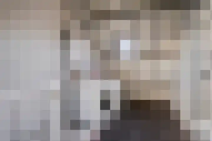 Jan de Oudestraat 14 Eindhoven thumbnail 25